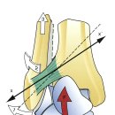 (검사)disital tibiofubular joint rotatoric test(flexion/extension) 이미지