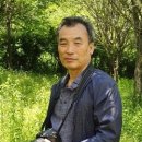 곡수당민박 Daum카페