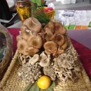 상촌면사무소 | 영동 상촌 자연산 버섯 음식거리 축제에 다녀왔어요!^^