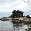 감나무식당 이미지