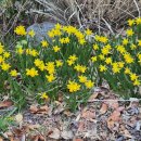 요로메디 | [시험관 1차 #8] 비임신종결 후기~~