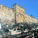 추모공원 야외 이미지