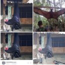 황금과일 이미지