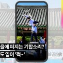 세계익스트림태권도