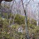 차만들기 이미지