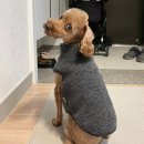 개스트살롱 이미지