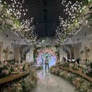 라온제나 분당 웨딩뷔페 | 라온제나분당 결혼식장 주차 단독홀 연회장 뷔페 상세후기