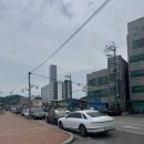 상화네식당 | 완도 맛집 현지인 추천 전복코스 상화식당 솔직후기 (내돈내산)