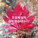 서귀포노인복지관 네이버블로그