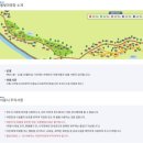 C 58 | 울산 울주군 작천정 별빛야영장, c58번자리 캠핑 후기