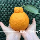 기성농장 이미지