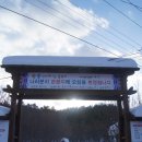 울릉도매니아 네이버블로그