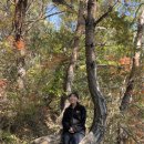 창기목장 이미지