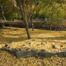 화신여관 | 예산여행 ㅣ 만추 속의 덕숭산 수덕사