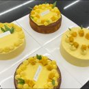 취미로 배워보는 타로카드 | 서면베이킹학원 취미로 시작하는 주말반 수업 후기