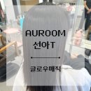 아우룸(Auroom)