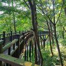 숲속에한옥 | 안면도자연휴양림 충남태안여행 충청도휴양림 숲속의집 한옥1호 후기