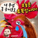 반가운 여울 이미지