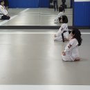 청우 태권도장 서울본관 이미지