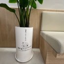 평온숲정신건강의학과의원 이미지