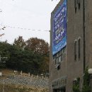 최혼선생묘 Daum카페