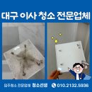 하임약품 | 대구테크노폴리스힐데스하임아파트 28평 이사청소