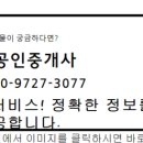 백화맨션 네이버블로그