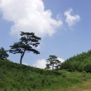 은서목장 이미지