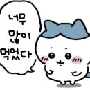 건건천복개주차장 | 제주시 고기국수 막창순대 도민추천 맛집 : 제주 미담