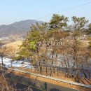 주치길 Daum카페