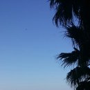 네네치킨표선점 | 제주도여행 2 - 샤인빌 리조트/ 제주공룡랜드 + 네네치킨 스노윙치킨+양념치킨 솔직후기들 with 똑햄♡