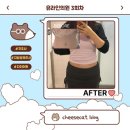 압구정메이트동물병원 | 압구정로데오 유라인클리닉 지방분해주사 복부컷주사 3회차 솔직후기, 몸무게 변화는 없지만 눈바디가...