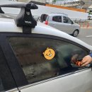 신성카써비스 이미지