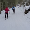 Ribbon Creek XC Ski(Dec 22,2021) 이미지