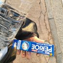 오구본가 | (서울근교여행) 여주 썬밸리호텔 솔직 후기