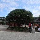 포항시북구19 이미지