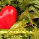 ชู้ทางใจ / Choo Tahng Jai (Mental Lover) 이미지