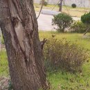 월선권역 이미지