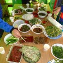 철농장 Daum카페