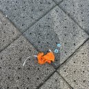 어느멋진날에 2 이미지