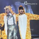 기린슈퍼 Daum카페