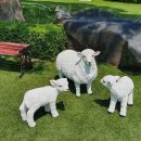 쉐르빌온천관광호텔 이미지