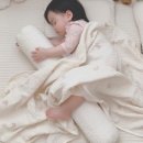 이불나라 이미지