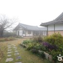 전라남도 영암군 티스토리