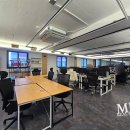 강남-255 이미지