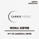 (주)캐리버스 이미지