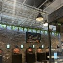 캣파라다이스 | 송도 동물카페, 다양한 동물들의 파라다이스 테이블에이 후기