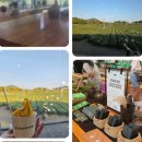 날외15 | 제주 반려견 동반 카페 모음 서쪽 리스트