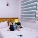 빈센조풀빌라펜션