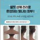 이공계뷰티피부샵